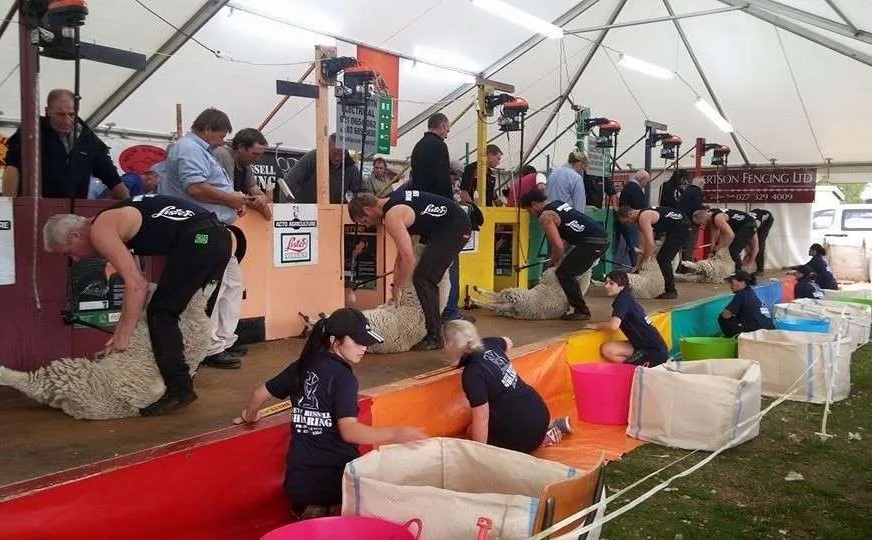 Mackenzie Highland Show