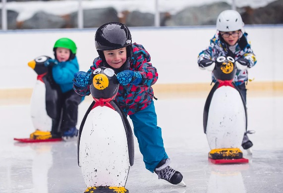 Tekapo Springs Ice Skating Rink