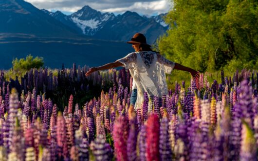 Screenshot 2025-10-17 142413