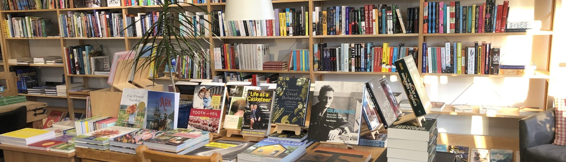 Petronella's Gallery and Bookstore