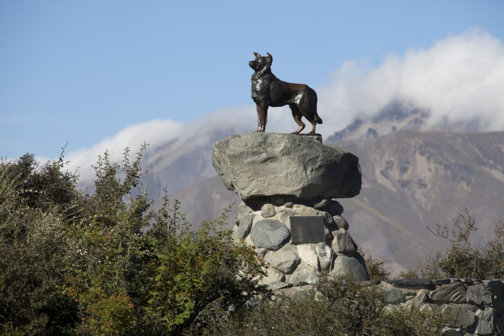 The Sheepdog Memorial in Lake Tekapo