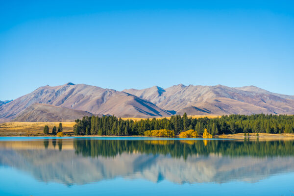 Tekapo Regional Park