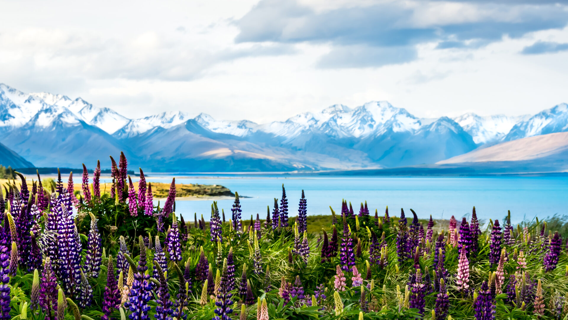 Beautiful view of Lake Tekapo